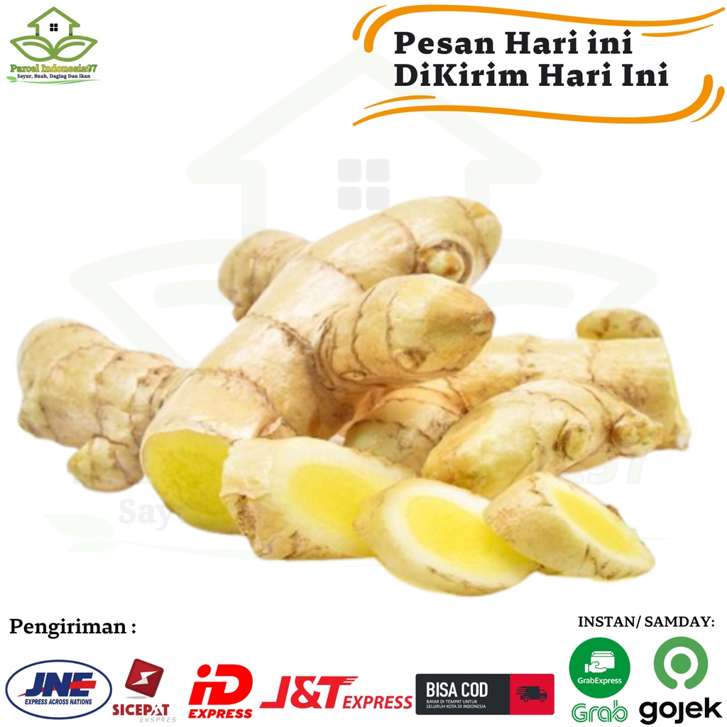 

kunyit putih segar 1 kg atau temu putih 1 kg parcel indonesia