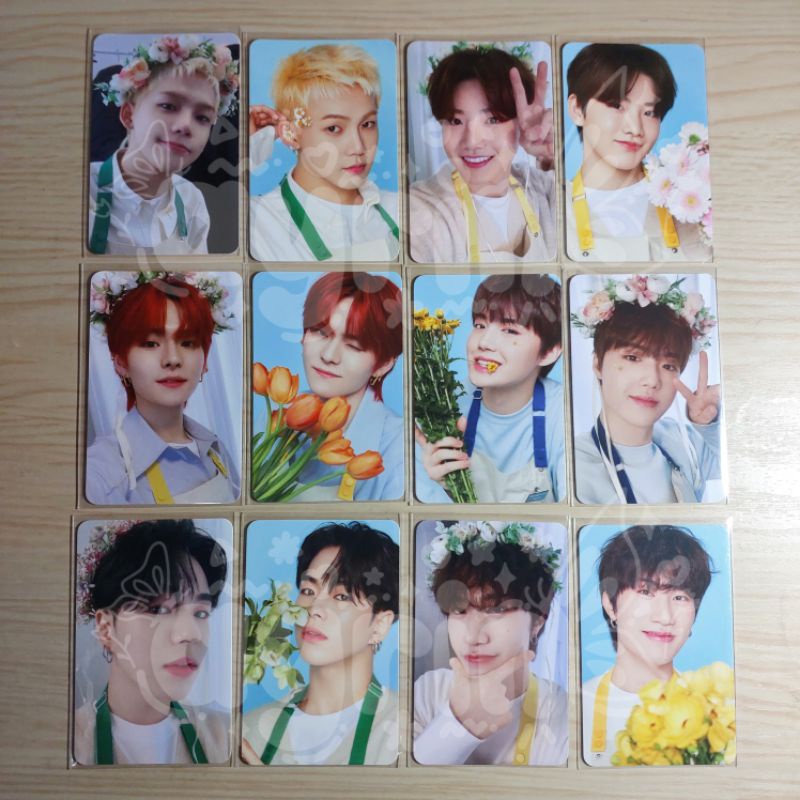 SHARING - Blooming Treasure Tincase PC