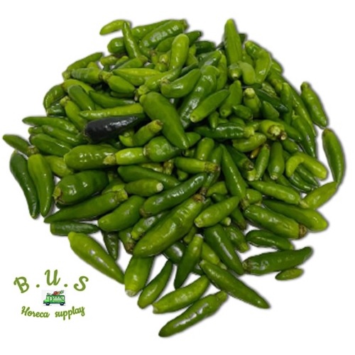 

Cabe Rawir Hijau Petik 1 Kg B.U.S