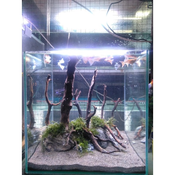 aquascape 30*30*30 fullset