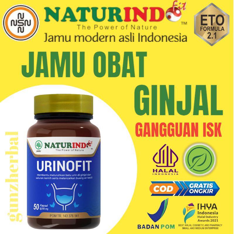 OBAT GINJAL SAKIT BATU GINJAL OBAT HERBAL GINJAL GAGAL GINJAL CUCI DARAH GINJAL OBAT HERBAL SAKIT GI