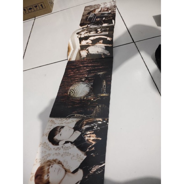 cd super junior suju / kpop