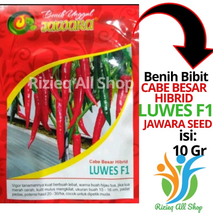 ELV32 Benih bibit Cabe Merah Besar Hibrida Luwes F1 10 gram dari JAWARA 3947