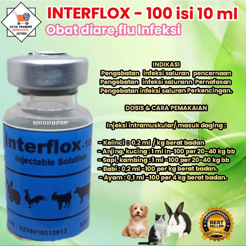 obat diare flu interflox injeksi 10 ml untuk hewan ayam kelinci kucing kambing