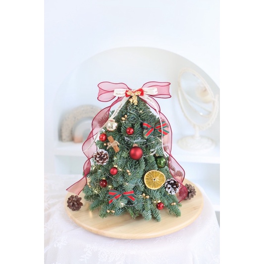 Fresh Nobilis Christmas Tree - Bunga Fresh Pohon Natal Gift Dekorasi Kado Hadiah Pajangan Hiasan Rum