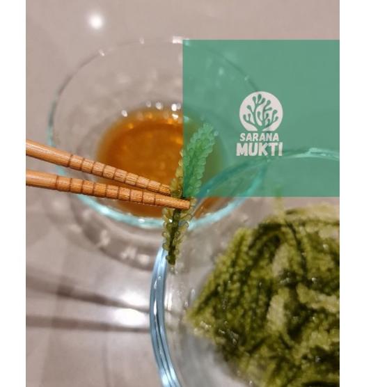 

(M-9-U☛) Anggur laut/ Green Caviar/ Latoh/ Lawi lawi/ Sea Grapes (Caulerpa Sp.) premium