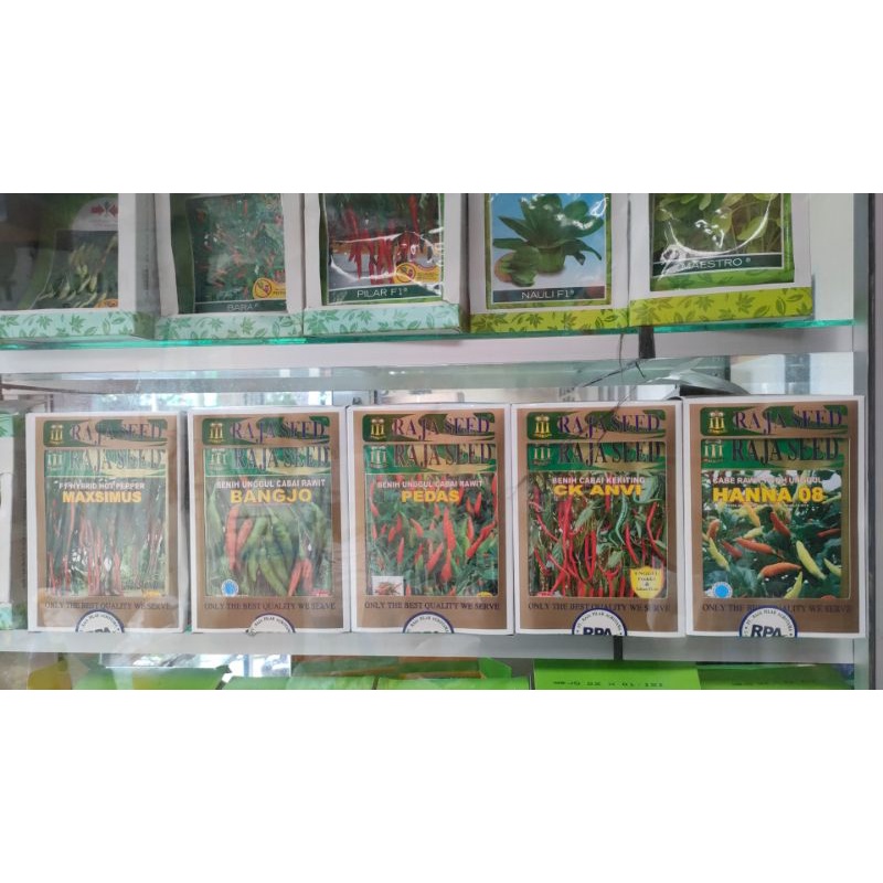 Benih Cabai Keriting Lokal CK ANVI Raja Seed Tahan Virus