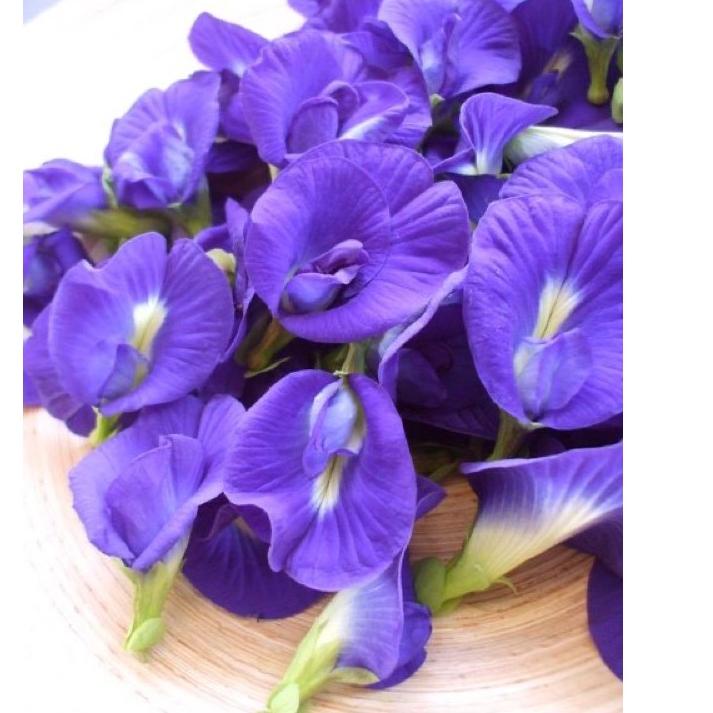 

➞ 50gr Organik Bunga Telang Kering/Dried Blue Pea 50gr(herbal tea,immune booster,vitamin,antioksidan) ☐