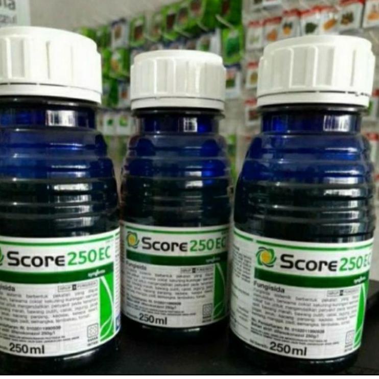 Grosir Ekonomis Score 250ml