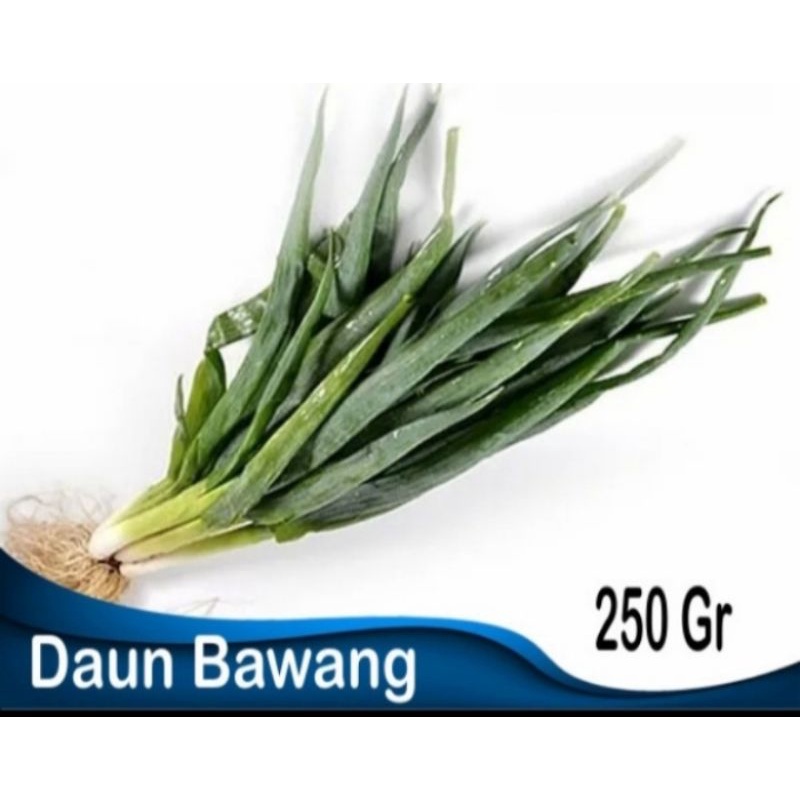 

Daun bawang 250 gram