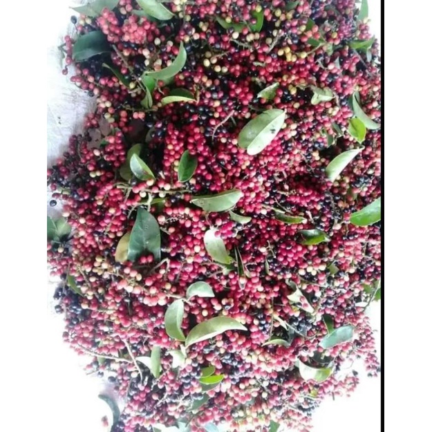 

Buah buni/ huni ngidam