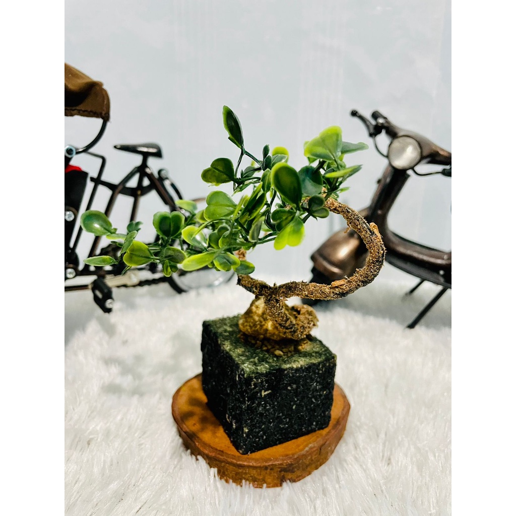 FURNITURE RANGKAIAN HIASAN BUNGA BONSAI DAUN JERUK UNIK DAN KLASIK, BUNGA PLASTIK ARTIFISIAL PENGHIAS TAMAN , RUANGAN , AULA MEJA KERJA TERAS RUMAH , ANGGREK BUNGA MAWAR ANEKA BUNGA HIAS PLASTIK