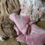 

Jeroan&Babat Kambing1kg