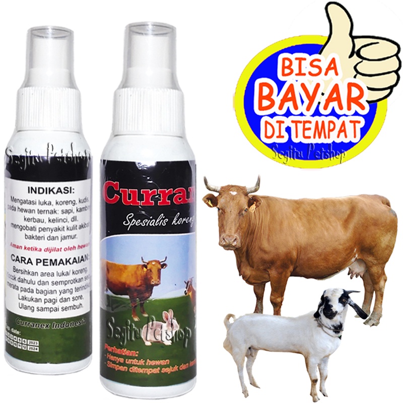 Jual OBAT KORENG SCABIES JAMUR SAPI KAMBING SEMPROT CURRANEX SPRAY