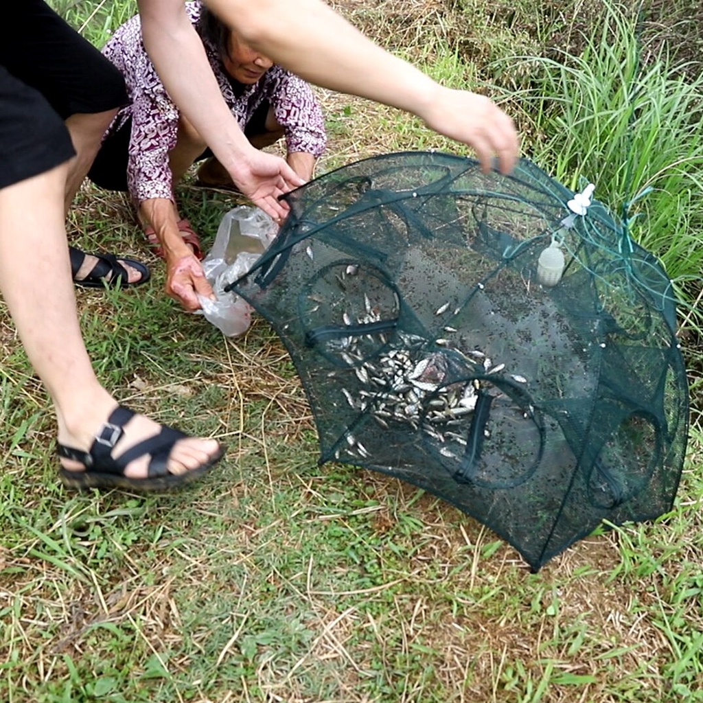 Jaring Pancing Ikan Lipat Perangkap Jaring Ikan Lipat Hexagonal 12 Hole Fishing Net Trap Cage