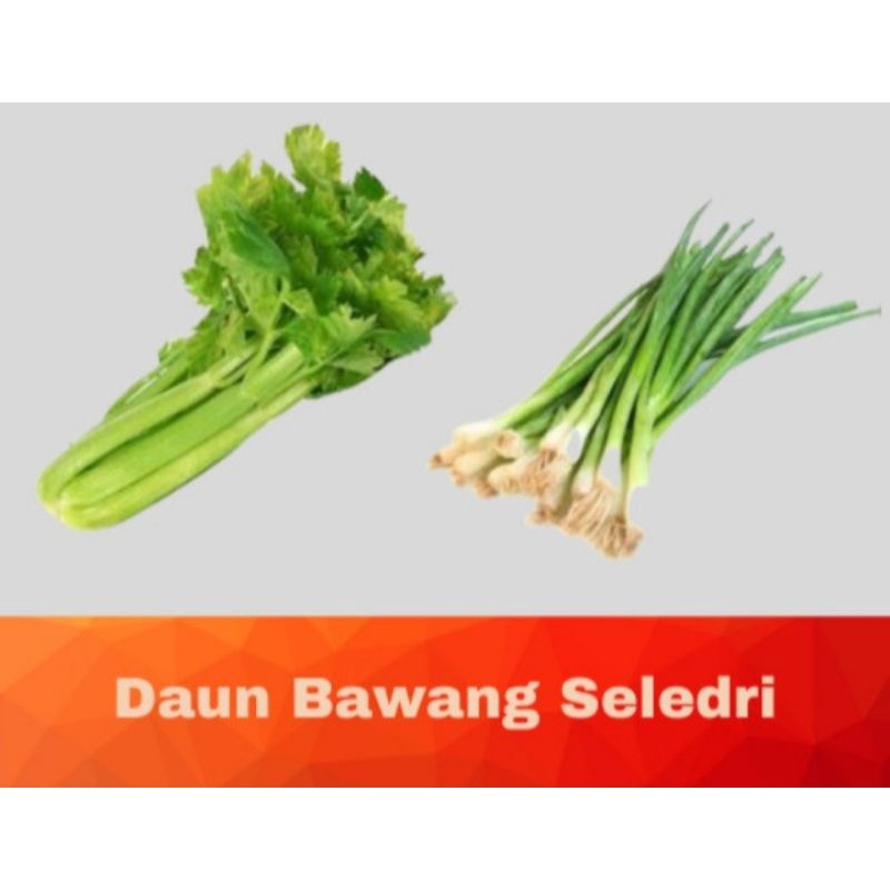 

Daun bawang Campur Seledri 250 gram