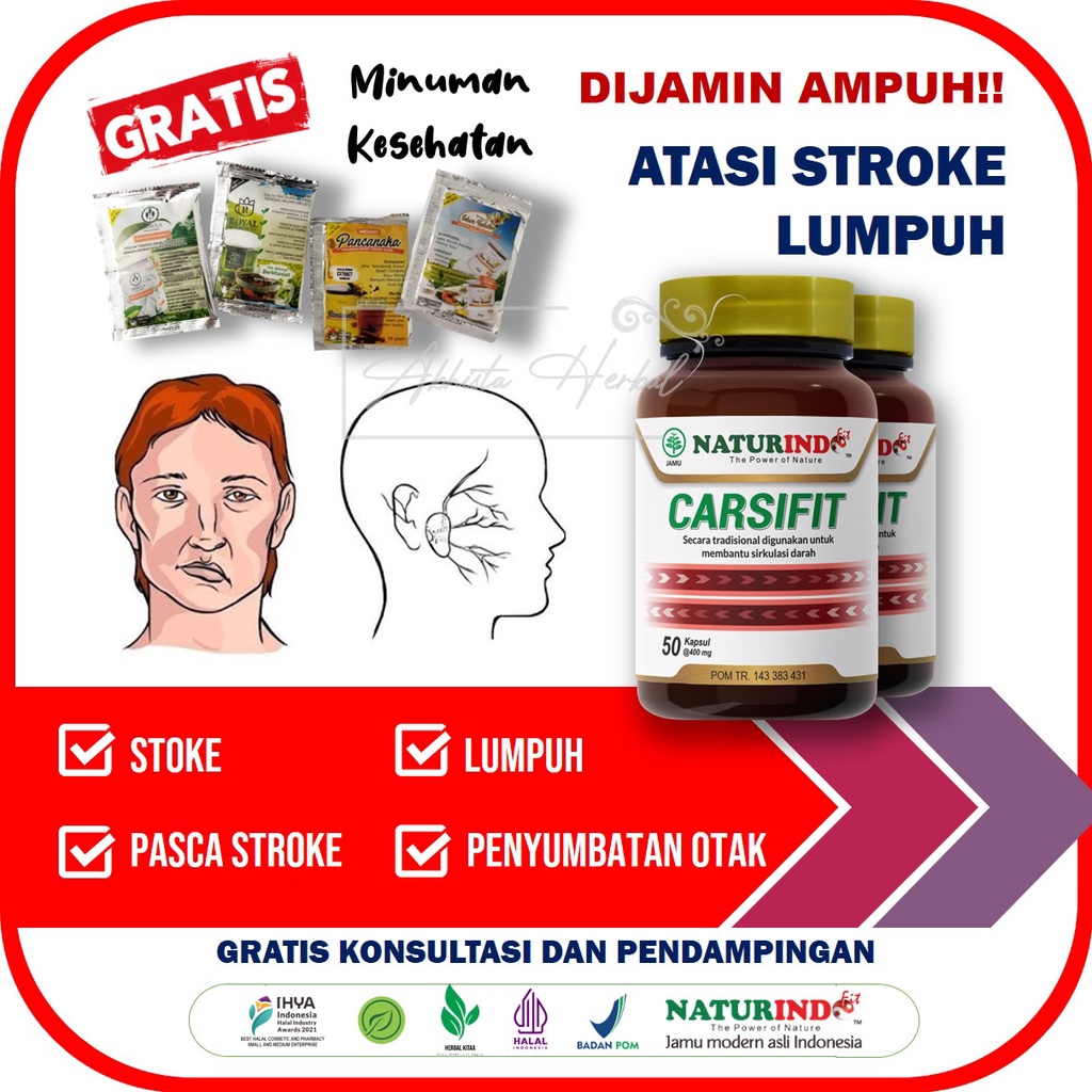 Obat Stroke Ampuh Obat Struk Stroke Herbal Obat Struk Lumpuh Menahun Ringan Mati Sebelah