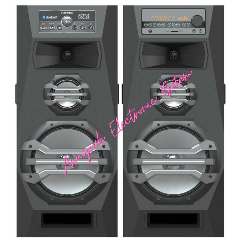 SPEAKER ACTIVE POLYTRON PAS2A15/BA PAS 2A15 BATAM