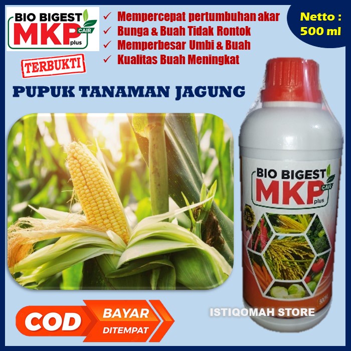 BIO BIGEST 500ML Pupuk Penyubur Tanaman Jagung - Pupuk Organik Jagung Buah Lebat Pupuk Jagung Manis dll Ampuh, Pupuk Jagung Pupuk Jagung Subur, Pupuk Pelebat Jagung Paling Bagus, Pupuk Jagung Anti Hama Penyakit Untuk Semua Jenis Jagung