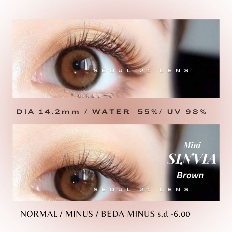 SOFTLENS MINI SINVIA KITTY KAWAII GRAY BROWN NORMAL MINUS