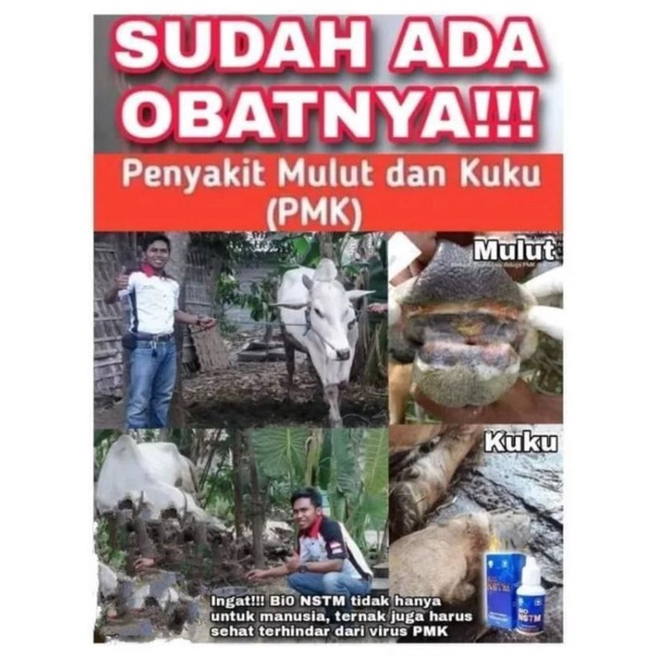 Obat PMK Sapi penyakit Kuku Dan MulutTerampuh - Obat Penyakit Kuku Dan Mulut Sapi VIRALLL - Cegah PM