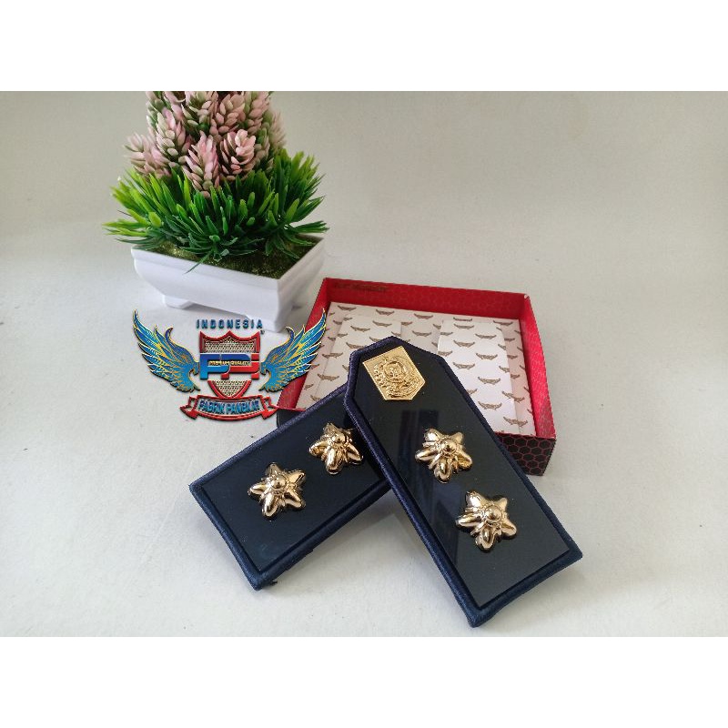 Pangkat PDU Lurah Terbaru Sesuai Permendagri