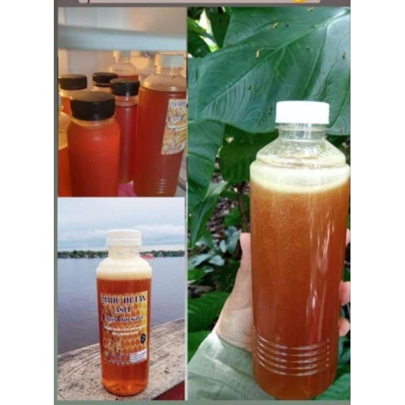 

Original Madu Hutan MUrni Apis Dorsata