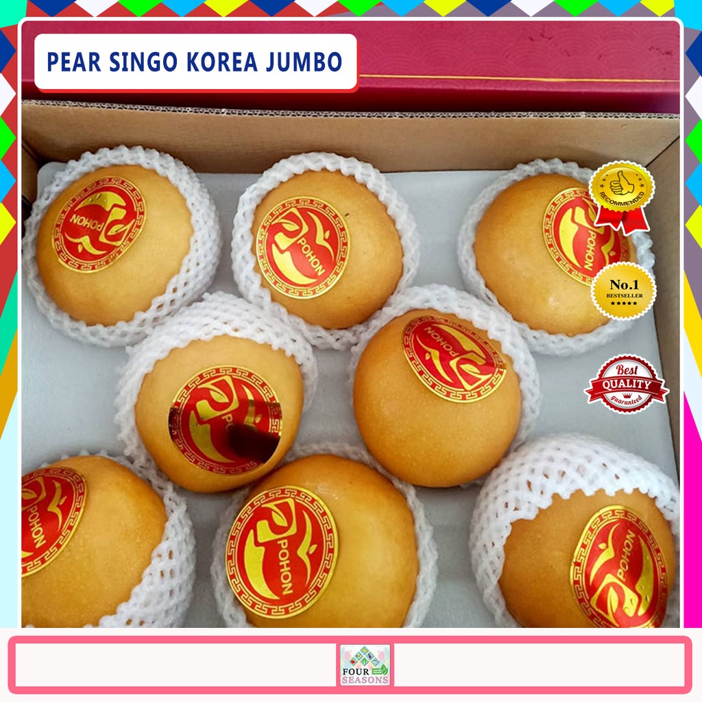 

BUAH IMLEK TERLARISSS PEAR / PIR SINGO COKELAT KOREA JUMBO 1 BOX 8 BIJI