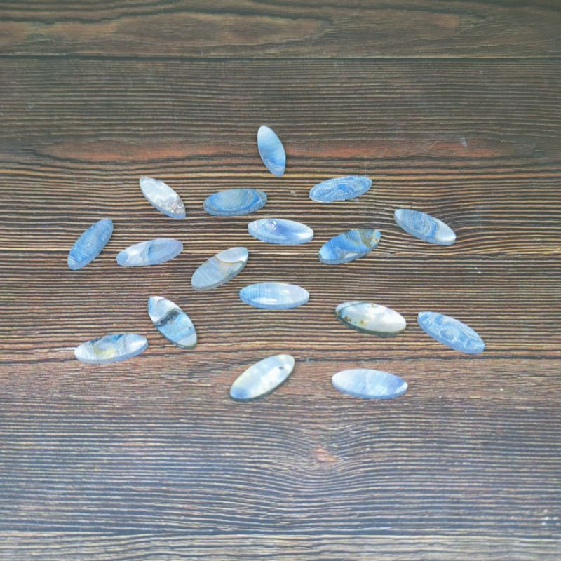 Inlay Abalone Oval Penanda Fingerboard Gitar