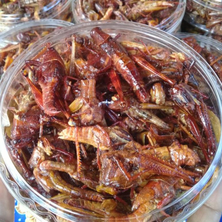 

[O-C7C][✓] [BISA COD] WALANG/BELALANG GORENG BESAR kekinian