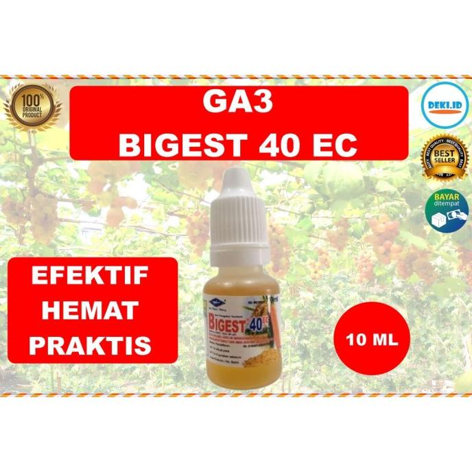 GA3 Bigest 40 EC 10 ml Hormon Giberelin Acid ZPT Tanaman Buah Anggur AAAA