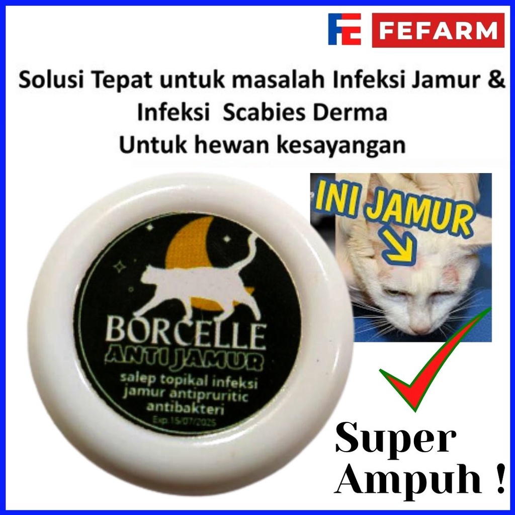 SALEP ANTI JAMUR DAN BAKTERI SUPER AMPUH UNTUK KUCING FEFARM