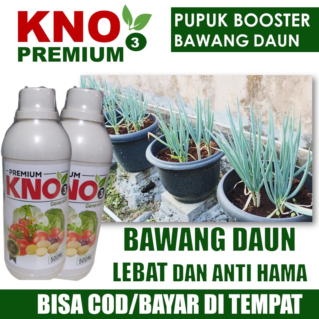{PUPUK BAWANG DAUN TERBAIK} isi 500 ML KNO3 PREMIUM OBAT PENYUBUR BAWANG DAUN Mujarab Tahan di Musim