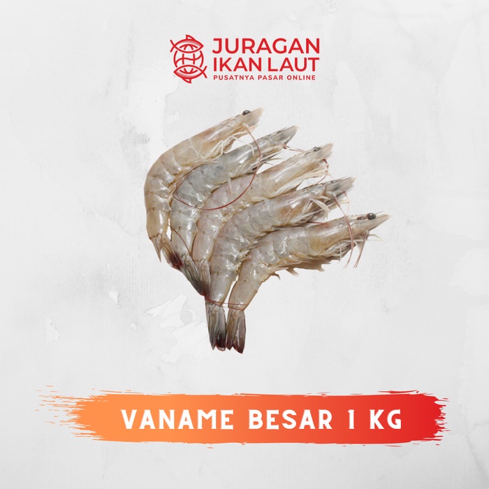 

Udang Segar Fresh Berkualitas - 1 Kilo Tipe Udang Vaname/Pancet/Peci