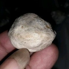 Muncang Adu Jalim Jawa Ori spesial pasangan tingi