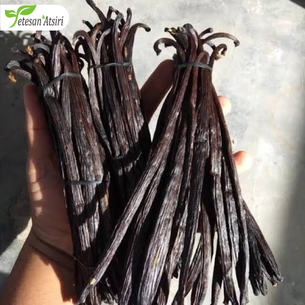 100ml minyak atsiri vanilla murni tanpa campuran vanilla vanila vanili pure essential oil therapeutic grade aromatherapy aromaterapi aromaterapy oil burner 100 ml