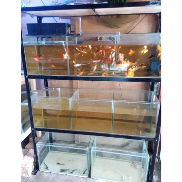 Rak aquarium 3susun T150,P112,L35