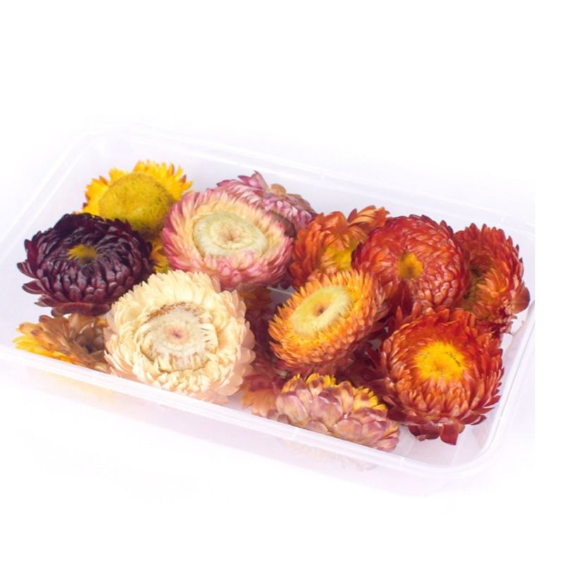 bunga kering hiasan hampers scrapbook diy bunga campur