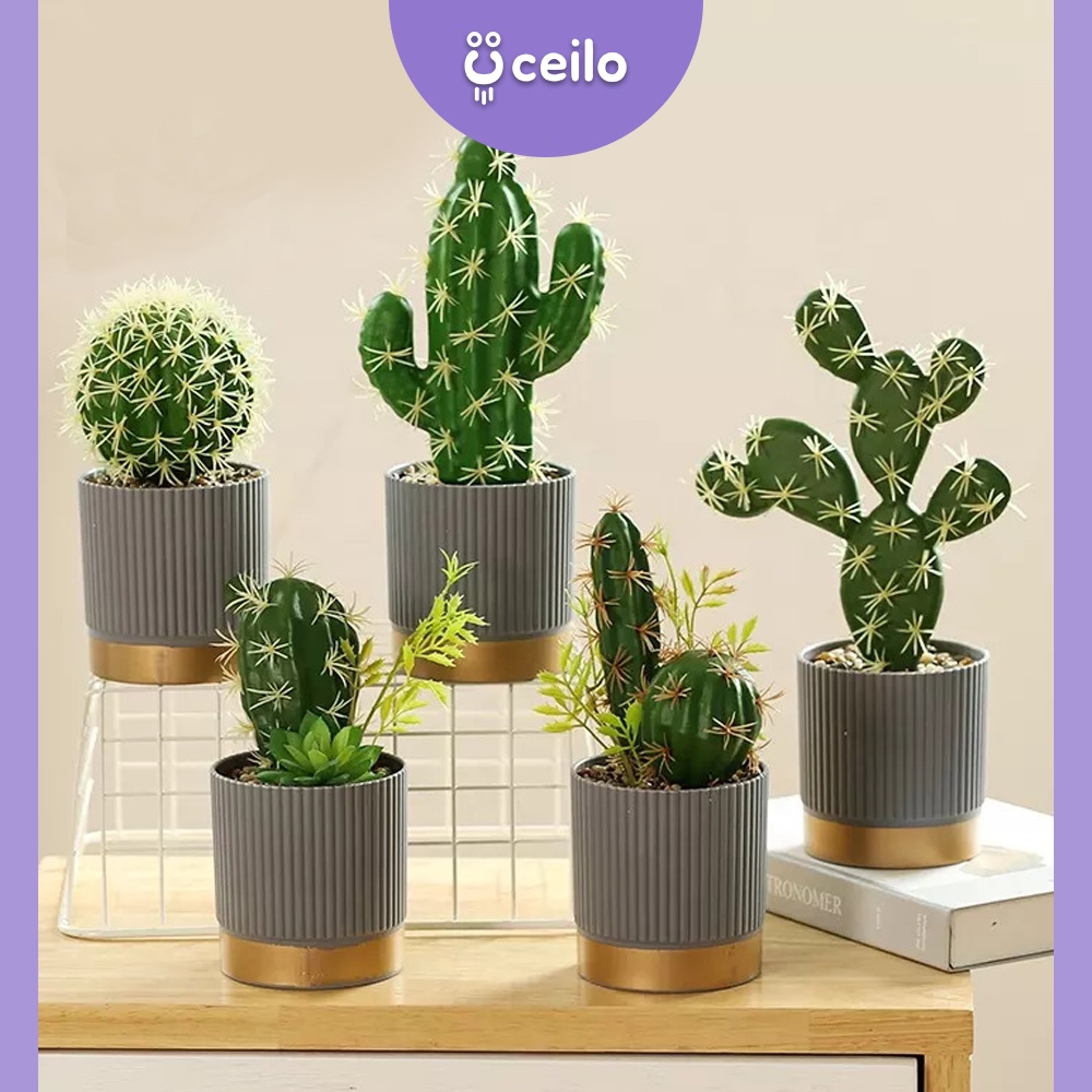 CEILO Kaktus Artificial | Bunga Hiasan Ruang Tamu | kaktus palsu aesthetic | tanaman hias plastik ae
