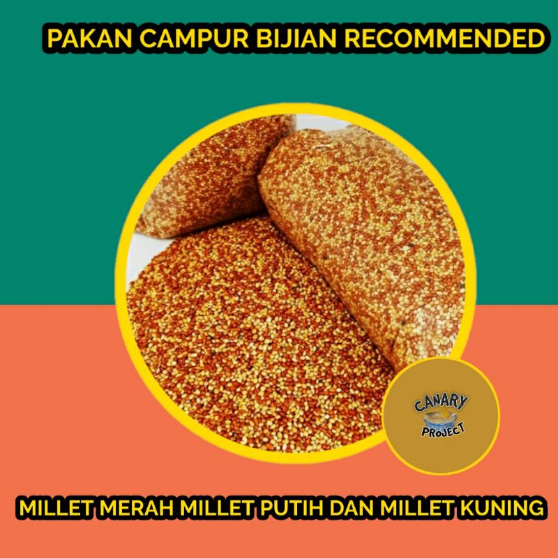 ANEKA MILLET / MILLET CAMPUR / MILLET PUTIH MILLET MERAH MILLET KUNING/ PAKAN ANEKA FINCH