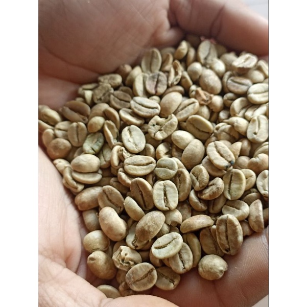 

Volcano coffee Greenbean Asalan Arabica kopi arabika asalan Temanggung