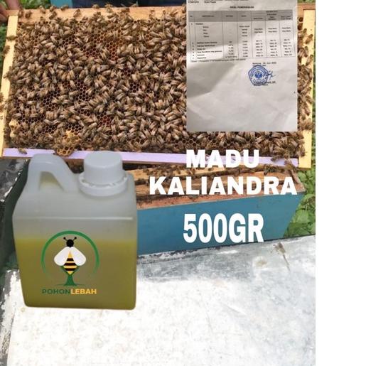 

FREE ONGKIR!Madu asli nektar bunga kaliandra 500gr MADU|KD8