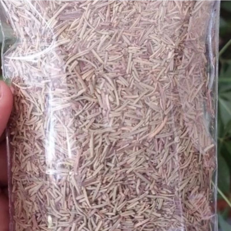 

Daun Rosemary Kering 500 gram - Rosemary
