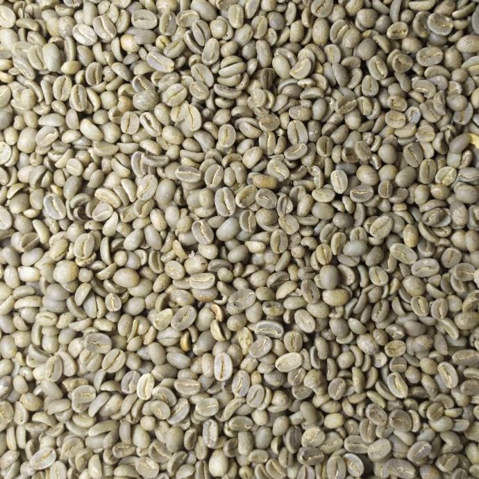 

GREEN BEAN ARABIKA FLORES BAJAWA FULL WASH / KOPI MENTAH - 1 KG