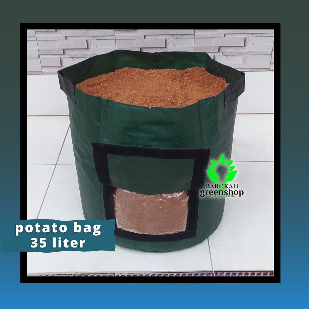 POTATO PLANTER BAG 35 LITER HIJAU - UMBI - JAHE - RIMPANG - MURAH MERIAH