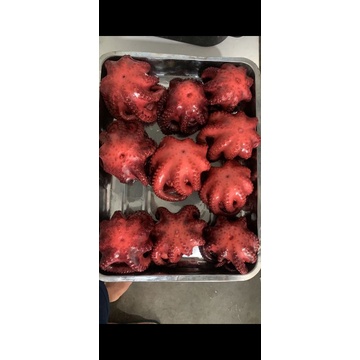 

Gurita Frozen Paket Usaha