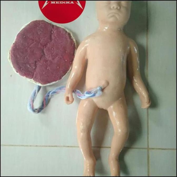 Hot!! Phantom/Manikin/Manekin/Bayi Plasenta Silicone Kode 0967