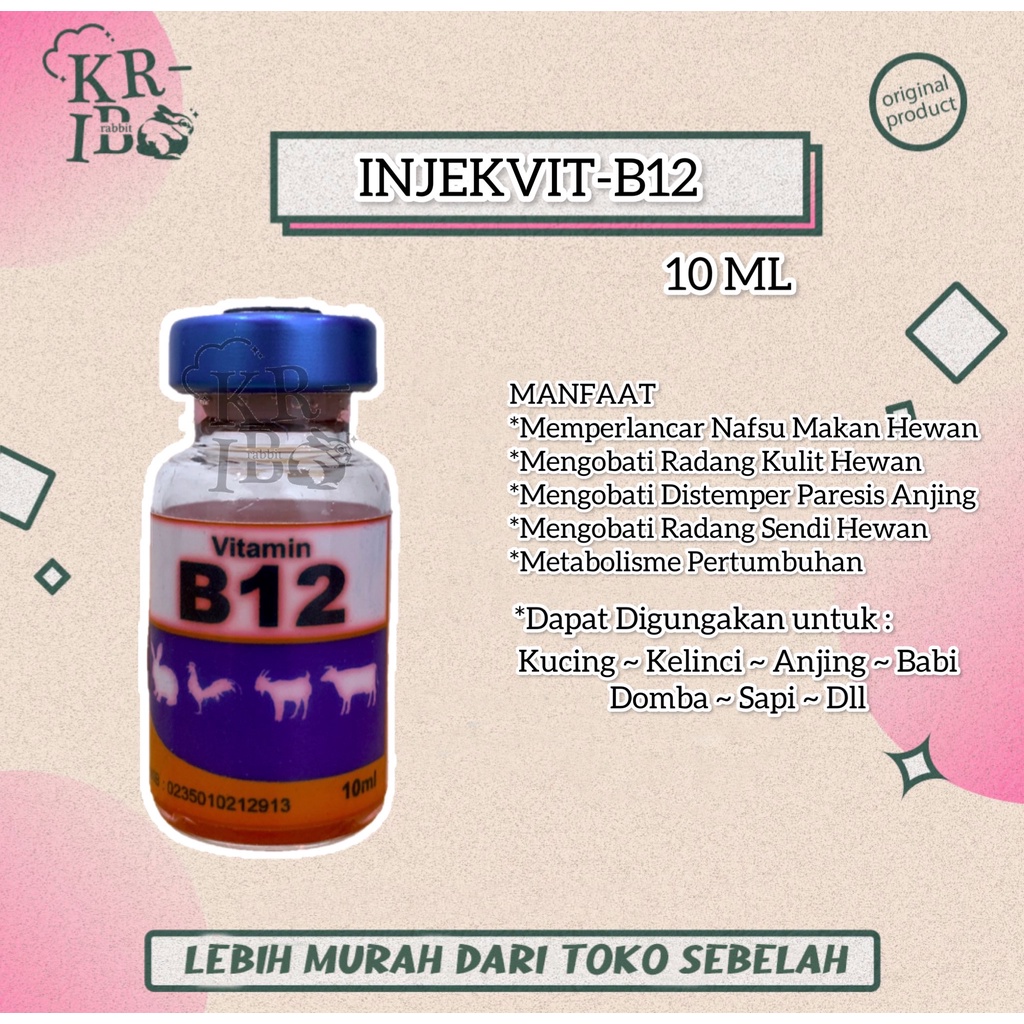 vitamin b12 penambah nafsu makan hewan injekvit b12