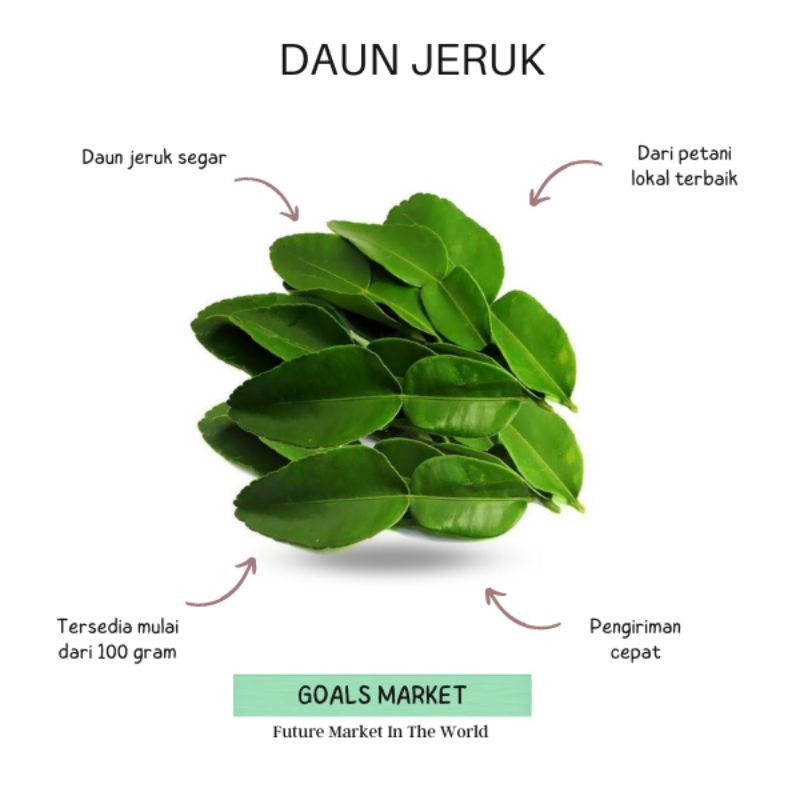 

Daun Jeruk Daun Jeruk Lokal Fresh Daun Jeruk Bumbu Masak Indonesia