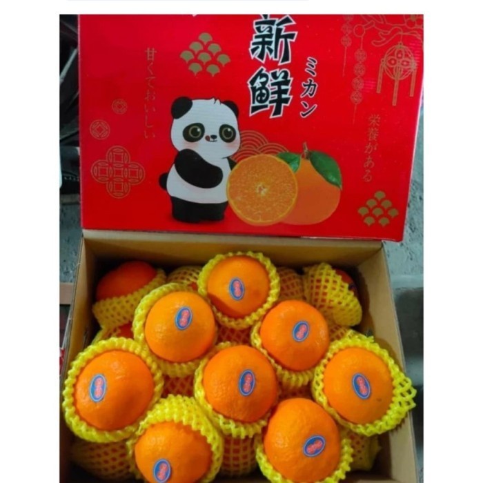 Jeruk Aiyen Aiyuan Oranges Bibit Jepang IMPORT PANDA 1 dus 6 kg